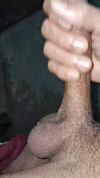 Pratinjau video