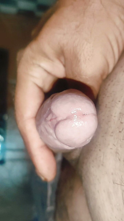 자지 서비스