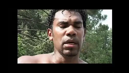 Asha Bliss Collection