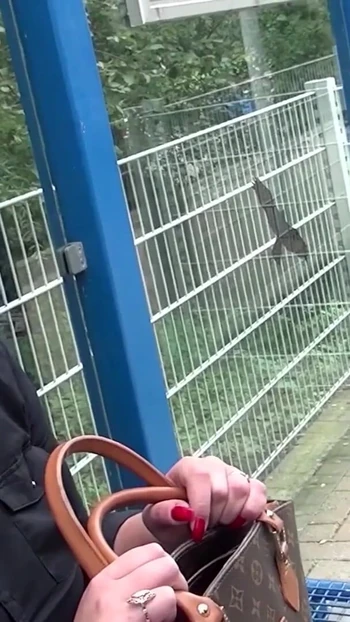 Unforgettable moment from "Hot sex tourists fuck a horny milf outdoors"