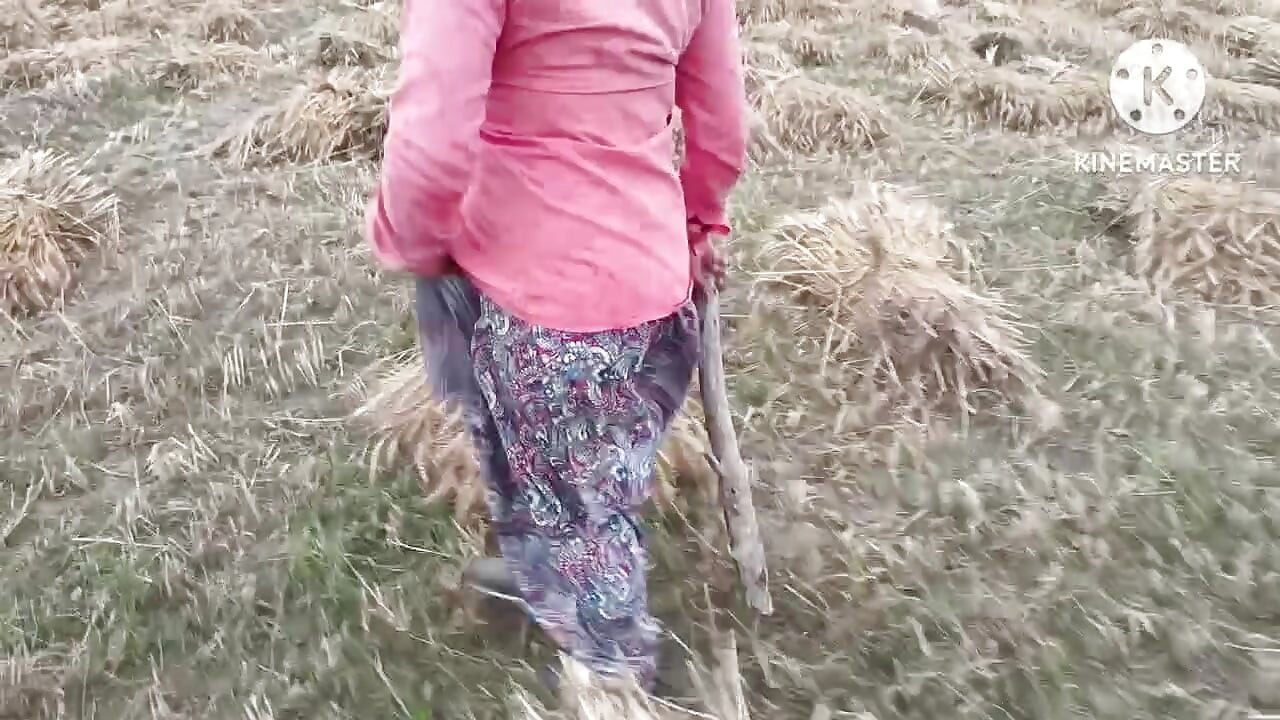 Gehu kat ti huyi female majdoor ki choot chudayi kari doggi style me
