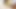 義理の姉と義理の兄が家で二人きりでセックス