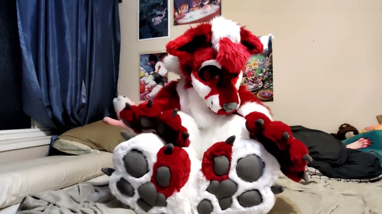 Jerking off and Showing Footpaws in Full-body Fursuit,PawgrammerSocks