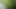 Public cruising piss in woods , jerking off my massive penis