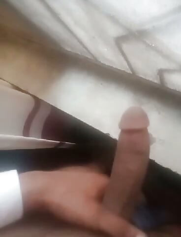 Сервис бычка