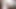 私のファンのための私の毛むくじゃらの猫