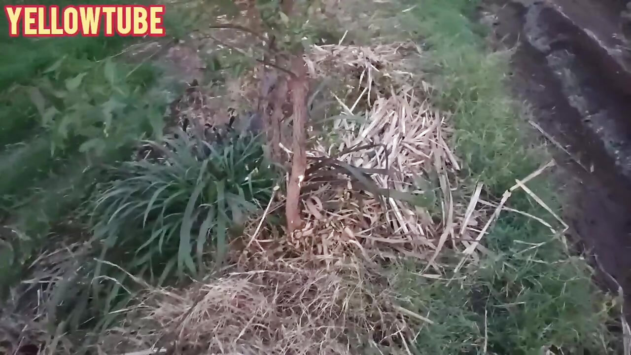 Indijska prelepa zabava na otvorenom i musti kama sutra