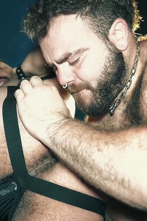 Horny Bears