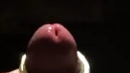 Amcık