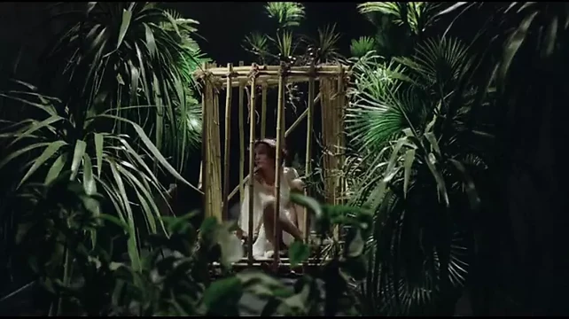 Slave Womans Orgasm Diary 1975 Part 1