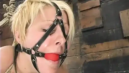 Vendetta