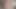 Audition of German blonde masturbating in front of the camera to become a porn actress