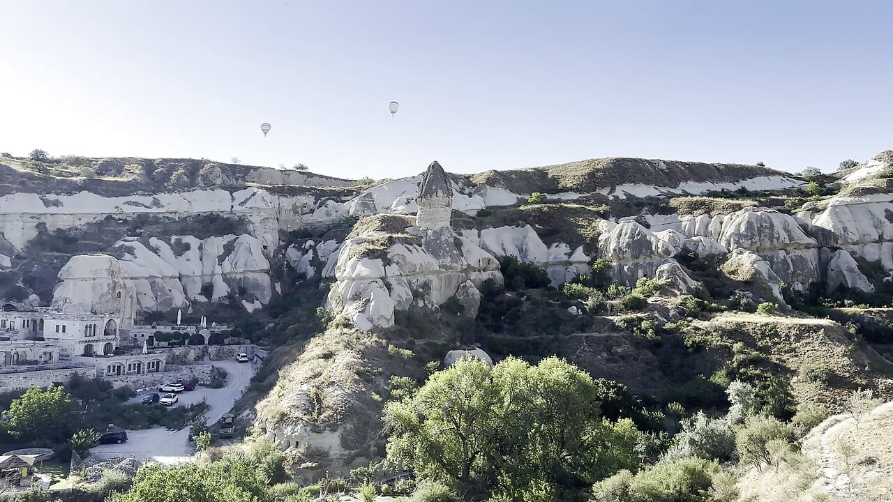 Gola Monika lisica u planinama
