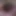 ExoticXena video