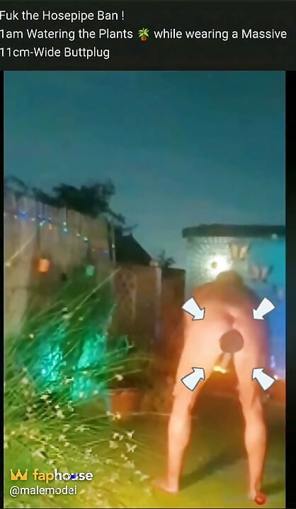 1am Naked in the Garden & a Buttplug