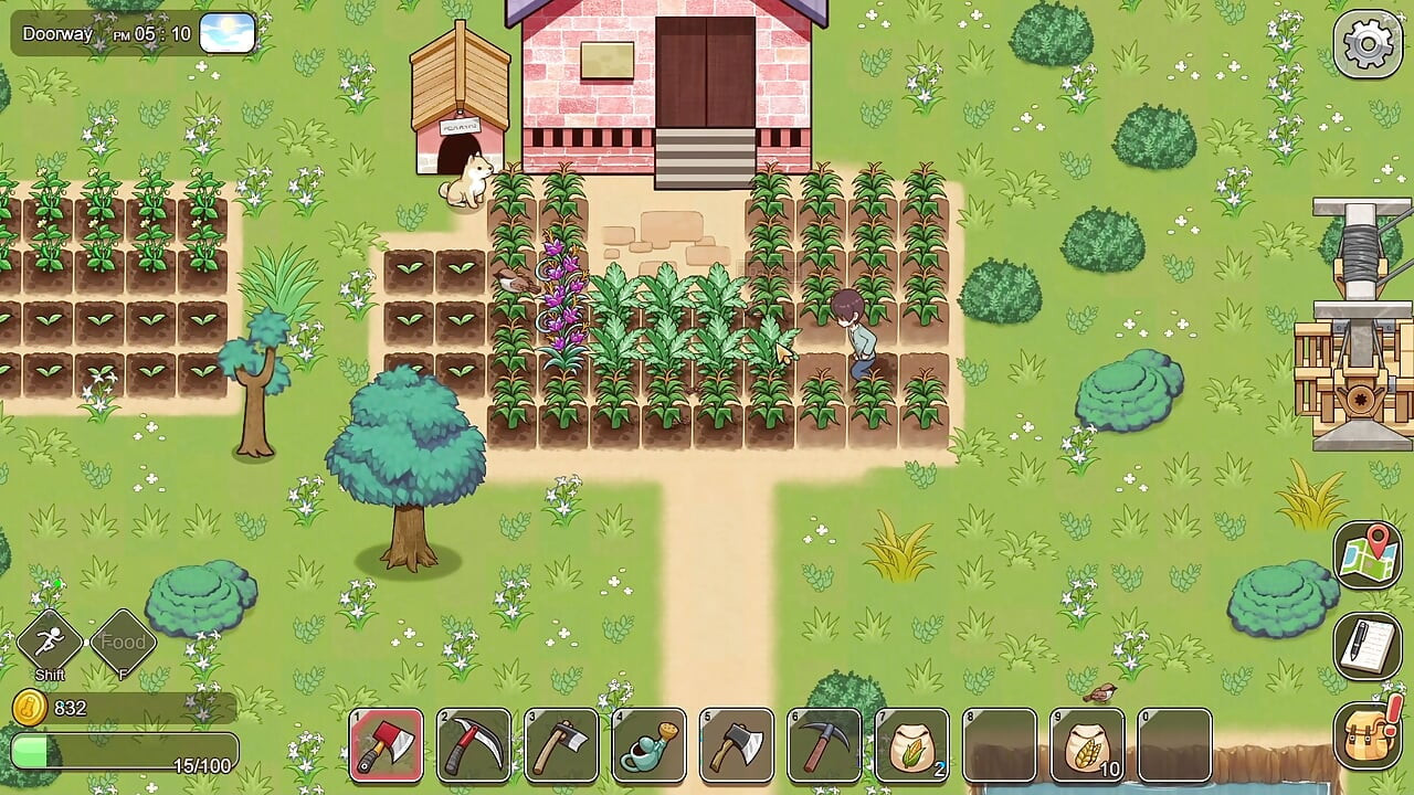 Village Rhapsody - Fucking a Horny Older Widow