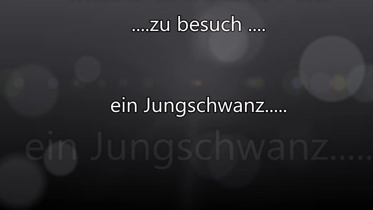 Jungschwanz zu Besuch!