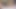 yağlanmış yukarı horoz okşayarak oturum