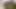 Private moment in front of my screen... (Masturbation of my big Arab cock in front of a hardcore anal porn video)