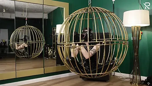 Masturbation in a Golden Bird Cage