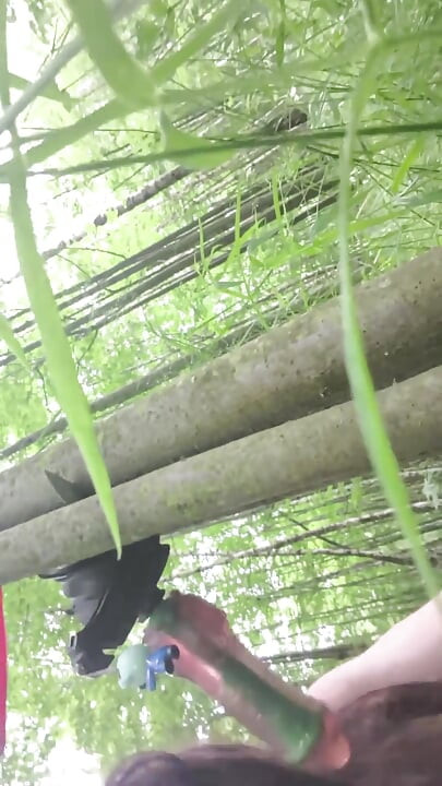 I Went to the Forest to Get a Tree