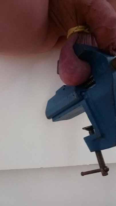 Eggs clamped in a vice