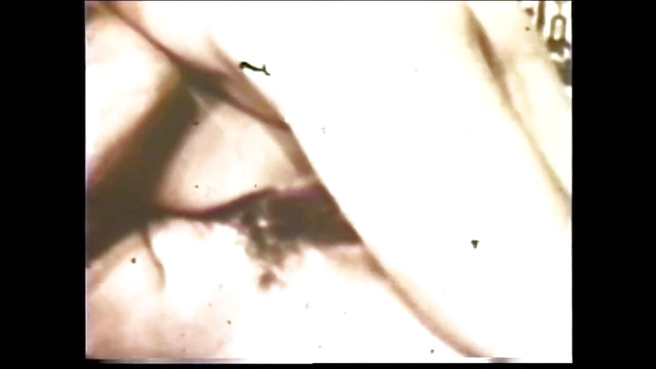 स्वादिष्ट चूसने वाला