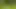 Heaven Leigh porn video – Luxurious blonde lesbians are toying and licking each others pussies on the grass during picnic