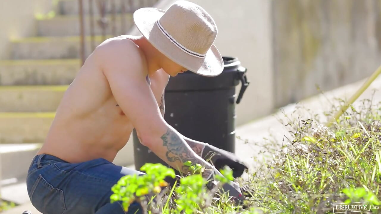 รบกวนความประหลาดข้างบ้าน