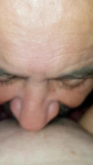 menjilati vagina