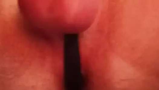 Anal eğlence