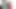 I took advantage of my best friend's addiction to lollipops to cover her eyes and make her suck my dick