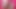 مص الديك الجميل