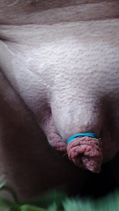 First nettles of spring!