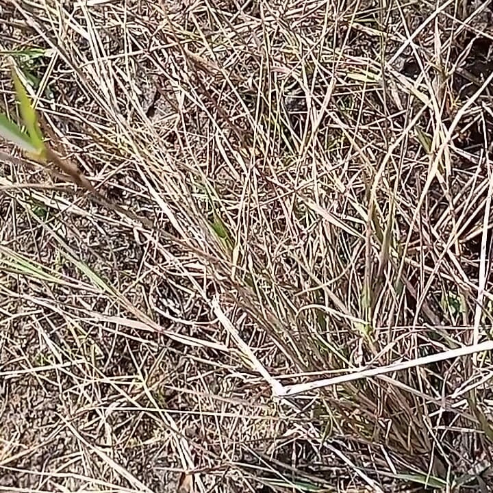 Chico gay al aire libre folla mariquita anal