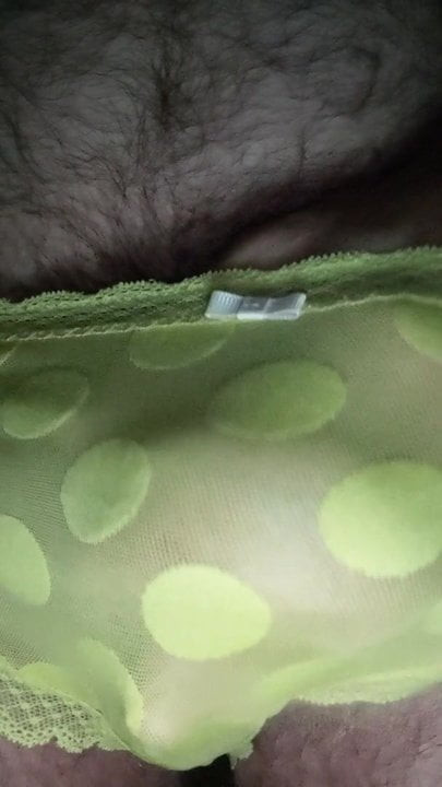 Panties