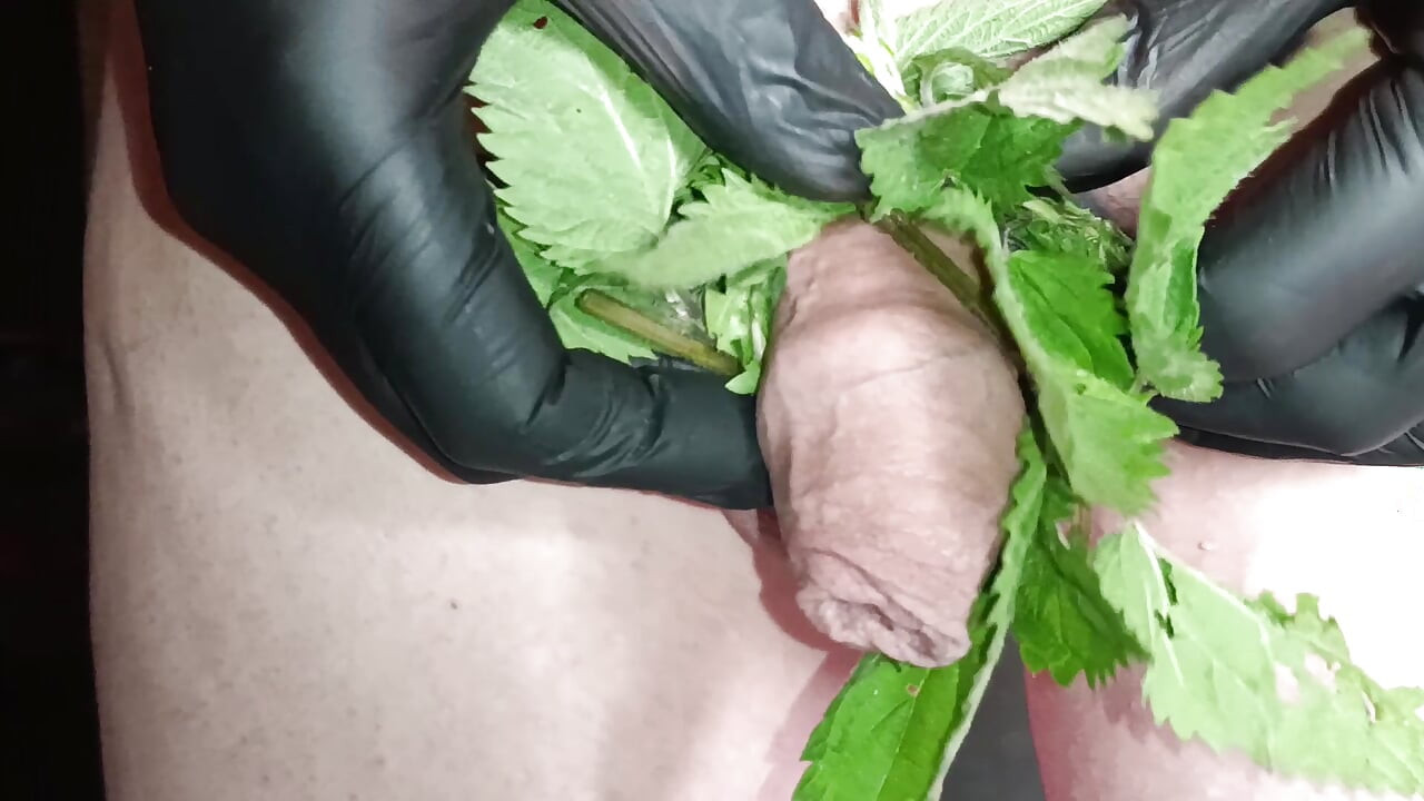 Nettle