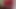 Bright Red