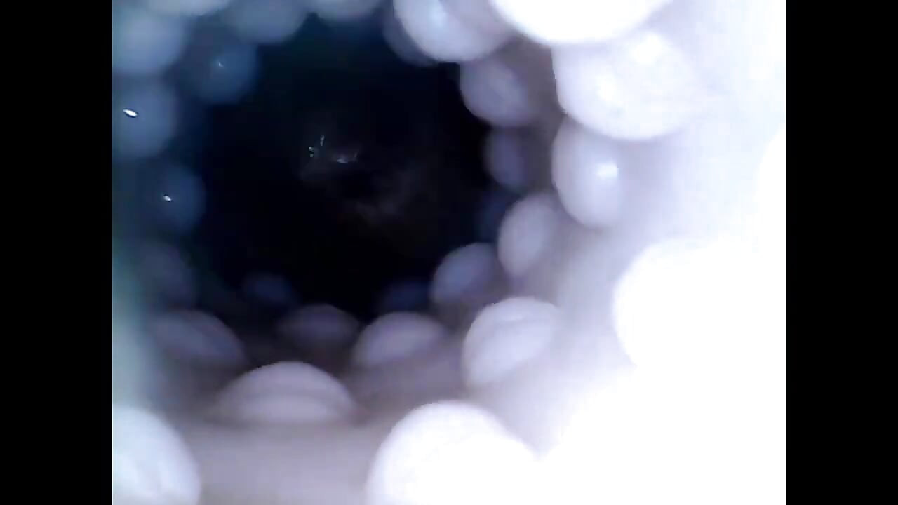 Internal closeup fucktoy