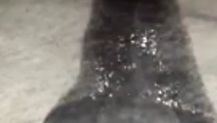 Başka bir döl su birikintisi