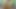 私のGFは素晴らしいです