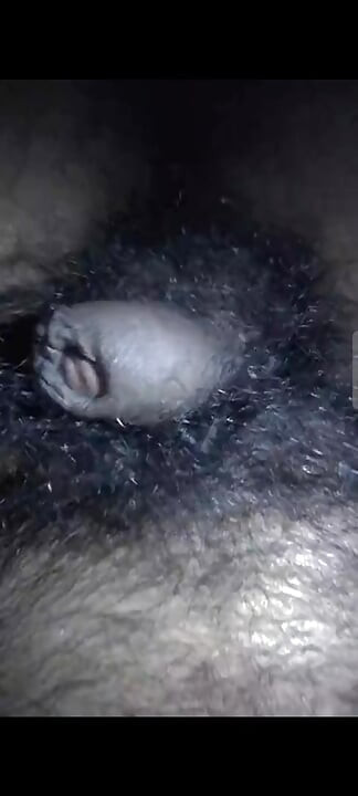 My dick is hungry for pussy