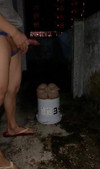 Pregled videozapisa