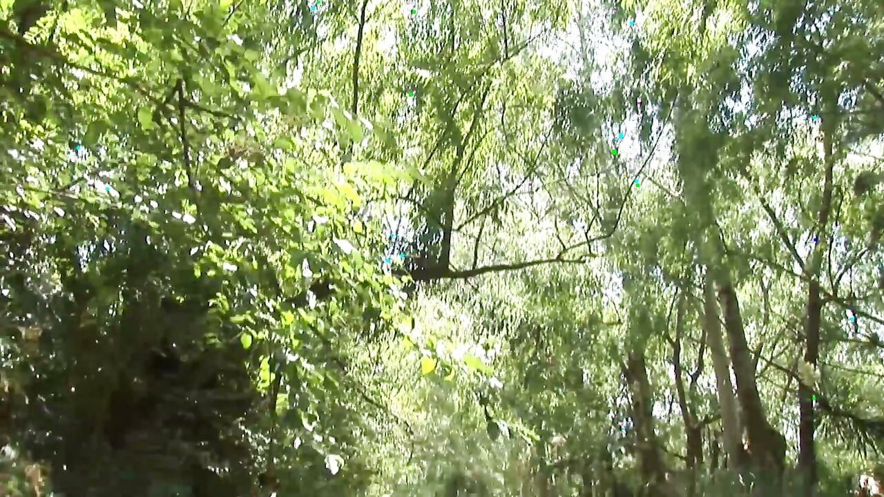 Perfect Sucking and Fucking in Nature