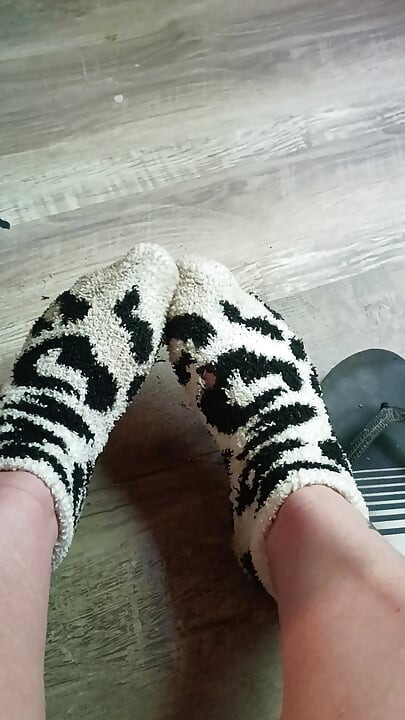 Quit stealing my socks jack