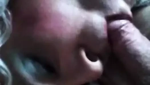 gueenleila swallow