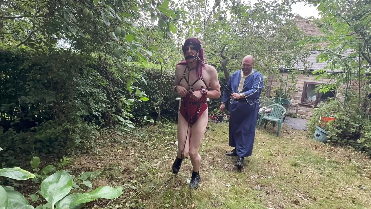 Part 2: Lanista Bear takes his pony Allegro for training in the garden.
