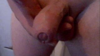 Cock pictures 3