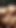 Jaw-dropping moment from "Bangladeshi hot girlfriend"