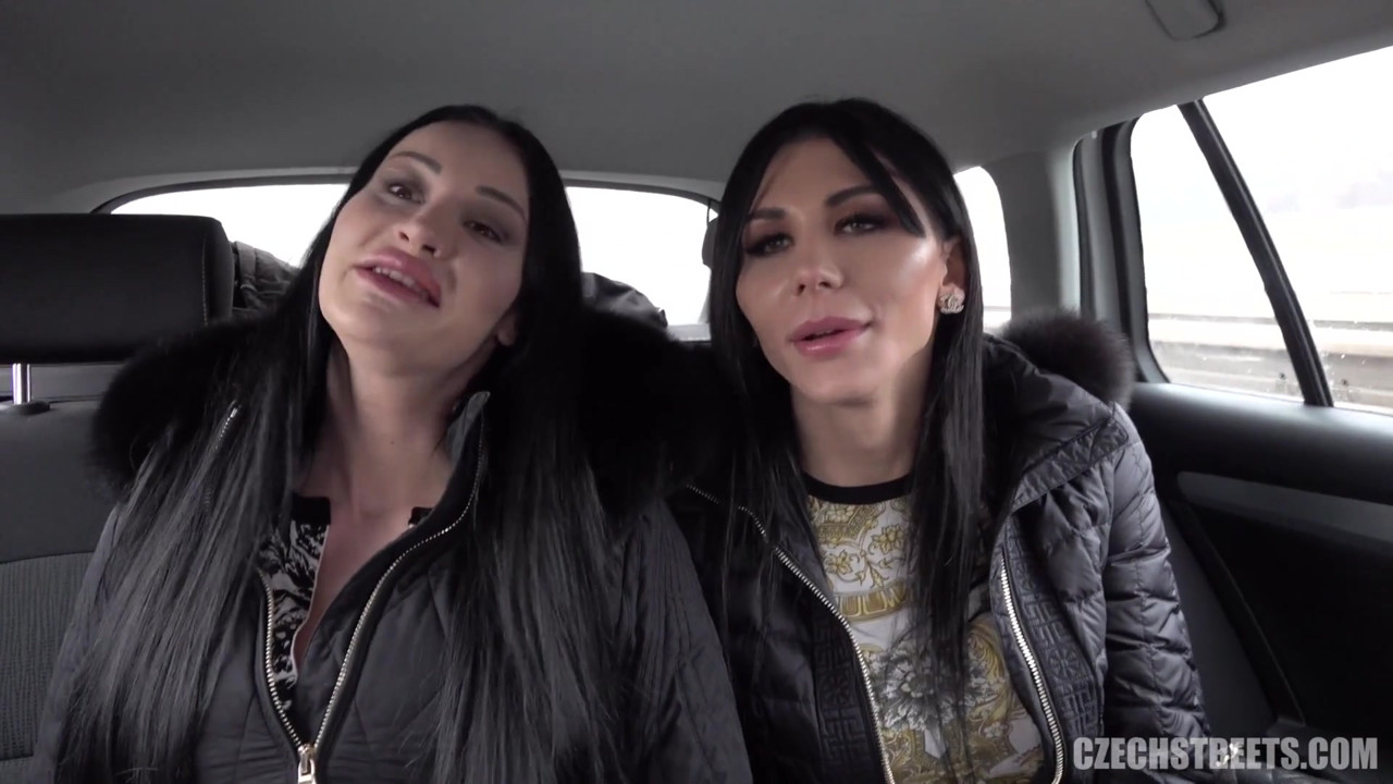 チェコの街 - ディックスとひよこ